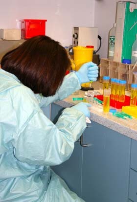 Eine Person in einem Laborkittel und Handschuhen führt eine chemische Analyse durch. Sie pipettiert eine Flüssigkeit in mehrere Reagenzgläser, die auf einem Tisch angeordnet sind, während verschiedene Flüssigkeiten in den Gläsern sichtbar sind.