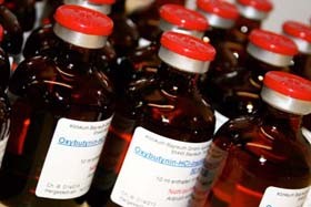 Das Bild zeigt mehrere braune Glasfläschchen mit roten Kappen. Jedes Fläschchen trägt ein Etikett, auf dem "Oxytocin" steht. Die Fläschchen sind in einer Reihe angeordnet und wirken medizinisch.